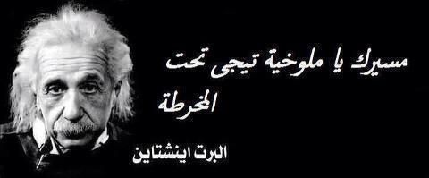 مسيرك يا ملوخية تيجي تحت المخرطة البرت آينشتاين Fake Quotes Arabic Quotes Music Book