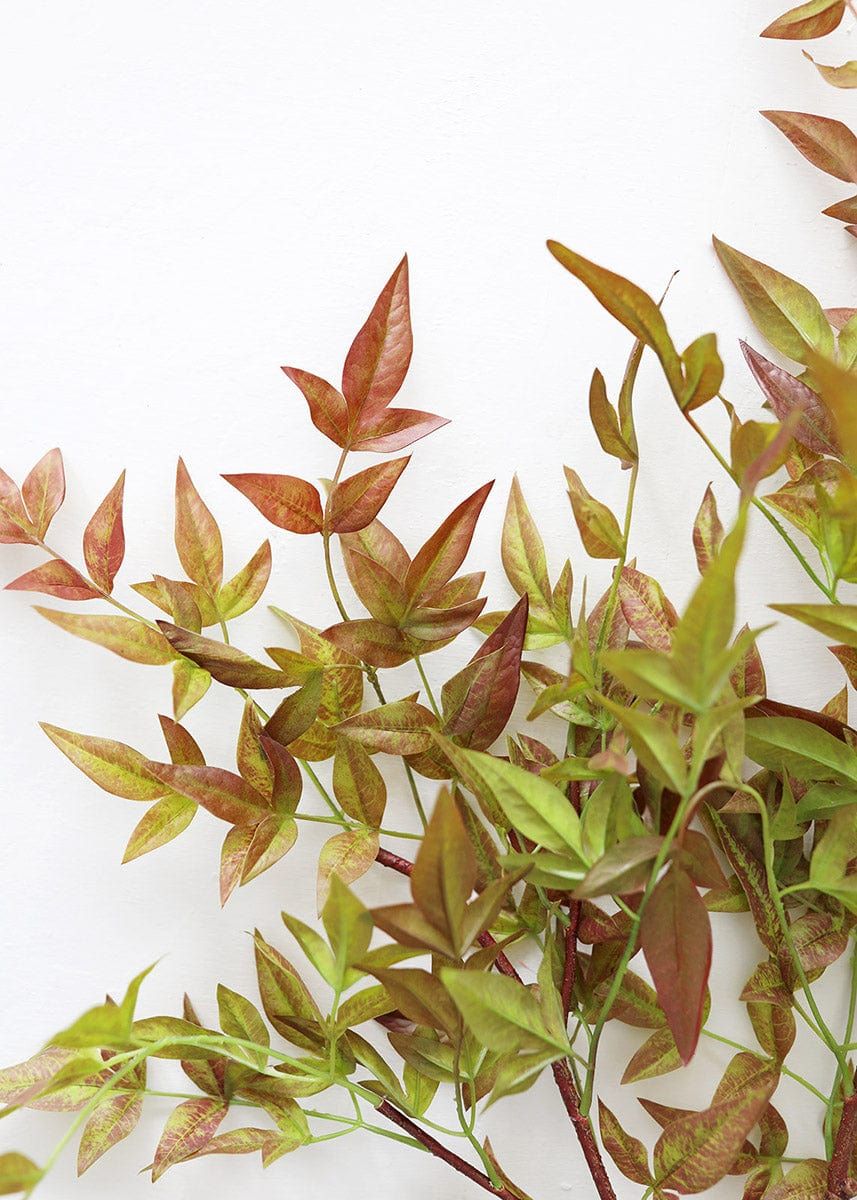 Elevate your home decor with nature-inspired faux leaf stems like this artificial nandina leaves branch. Also known as Heavenly Bamboo and Sacred Bamboo, these colorful burgundy green fake tropical branches are simple to style in a tall vase. 39" Tall 90% Plastic, 10% Wire Made in Factory that Abides by Ethical Labor Laws Assembled by Hand*Ethically made in China. Shop All Artificial Branches & Leaves Norfolk House, Faux Leaf, Artificial Leaf, Afloral, Tall Vases, Tropical Leaves, Nature Inspired, Stems, Heavenly
