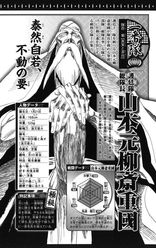 Bleach Official Data Book The Captains Bleach Anime Bleach Bleach Anime