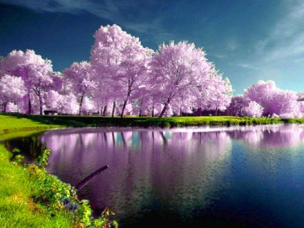 41 Best And Coolest Collection Hd Wallpapers Ever 40 Random Story Wallpaper Space Backgrounds Desktop Cool Wallpaper