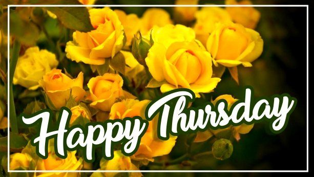Beautiful Happy Thursday Image edited with yellow flowers background for Wish Someone A Happy Thursday... Happy Thursday Images, Days Of Week, Wishes Images, Image Editing, Good Day, Yellow Flowers, Morning, Background, Quick