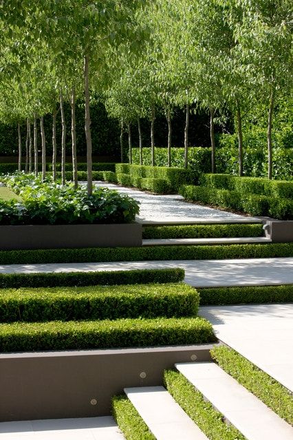 Landscape hedges are awesome ways to provide front yard (or backyard) privacy screens through the use of a living fence-like idea. The best landscaping hedge ideas are those that work with your own lawn and landscape design to create an abundance of plants, buxus, topiaries, tree, for tuin-like inspiration surrounding home privacy. #landscapehedgeideas #livingfences #besthedgeideas #bestlivingfences Modern Garden Design, Contemporary Garden, Garden Landscape Design, Landscape Designs, Landscape Bricks, House Landscape, Desert Landscape, Modern Design, Contemporary Staircase