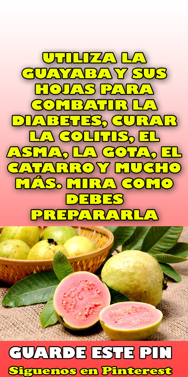 el yacon cura la diabetes