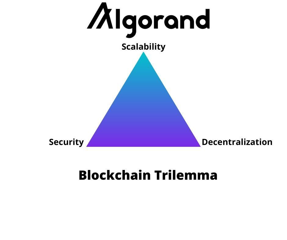 19++ Functional decentralization Trend