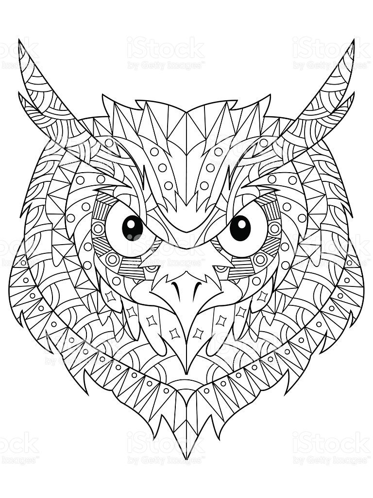 Hand Drawn Owl Head With Patterns In 2020 How To Draw Hands Owl Head Draw