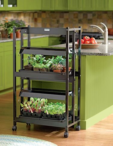 from small compact fluorescent grow lights to multi tier light stands youll find just the right indoor garden lights - Indoor Garden Lights from small compact fluorescent grow lights to multi tier light stands youll find just the right indoor garden lights - Indoor Garden Lights
