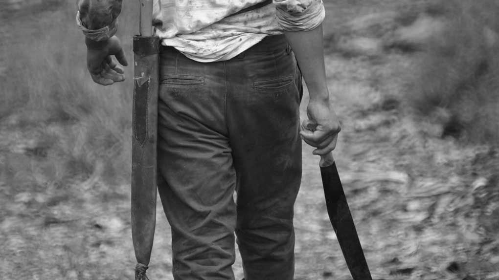 How To Use A Machete Safely 5 Most Common Problems And Solutions Infographic