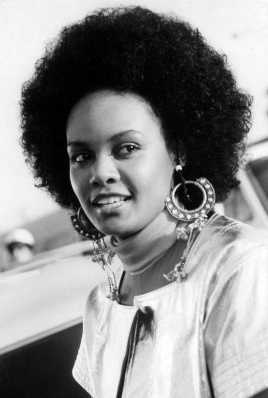 tamara dobson 1970s american hairstyles vintage hairstyles black tamara dobson 1970s american hairstyles vintage hairstyles black