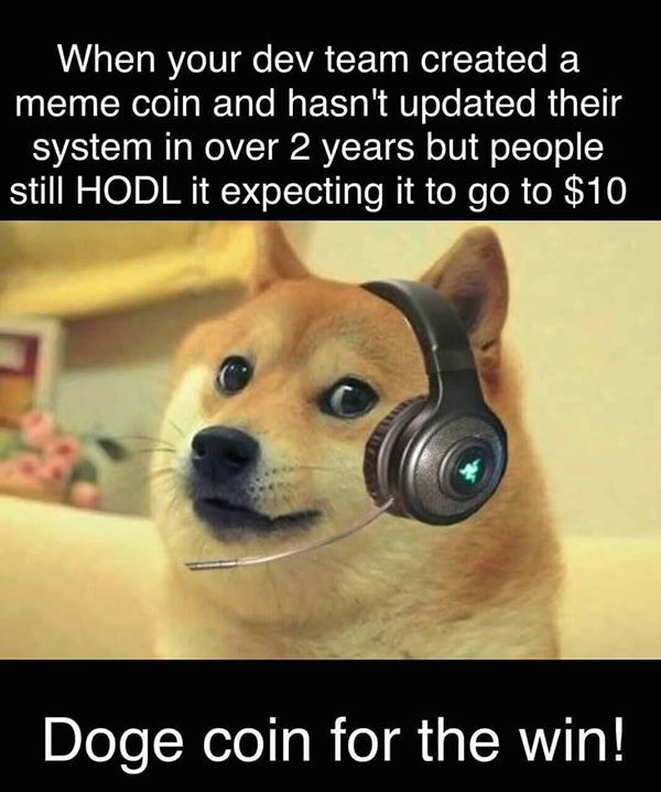 doge bitcoin btc crypto thecryptostories cryptocurrency Dog