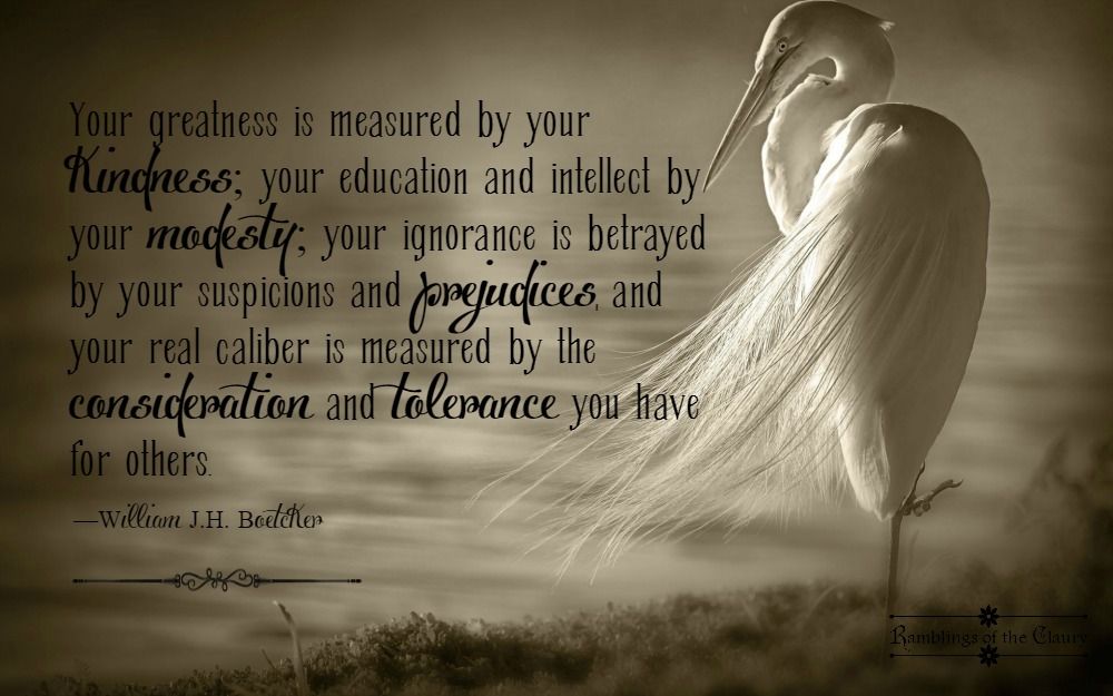 Your Real Caliber Wise Words Betrayal Wisdom