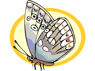 London S Peppered Moths A Case In Natural Selection London S Peppered Moths A Case In Natural Selection