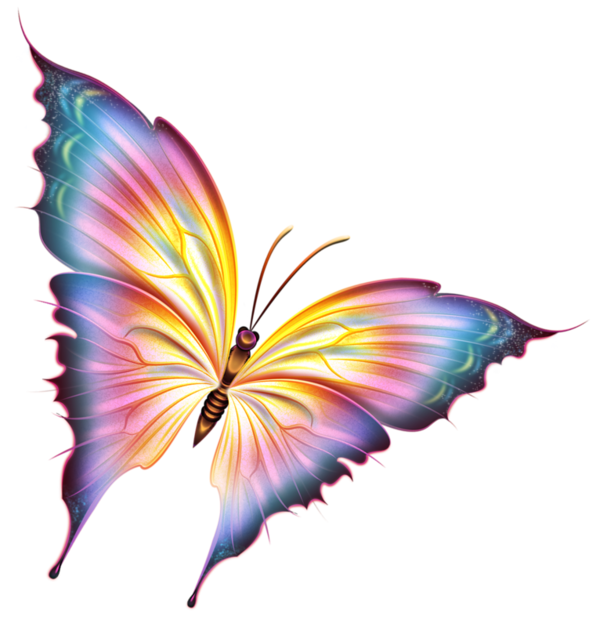 Pin En Png Motyle Pin En Png Motyle
