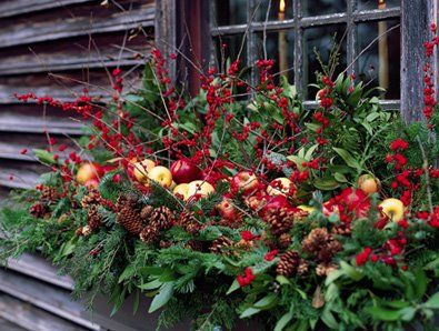 decorate your outdoor window boxes for christmas christmas christmas window box fillers