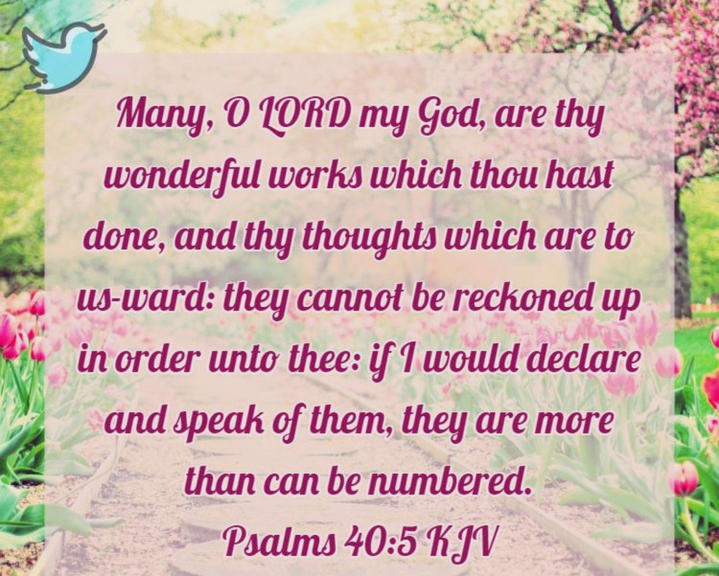 Pin On Bible Verses