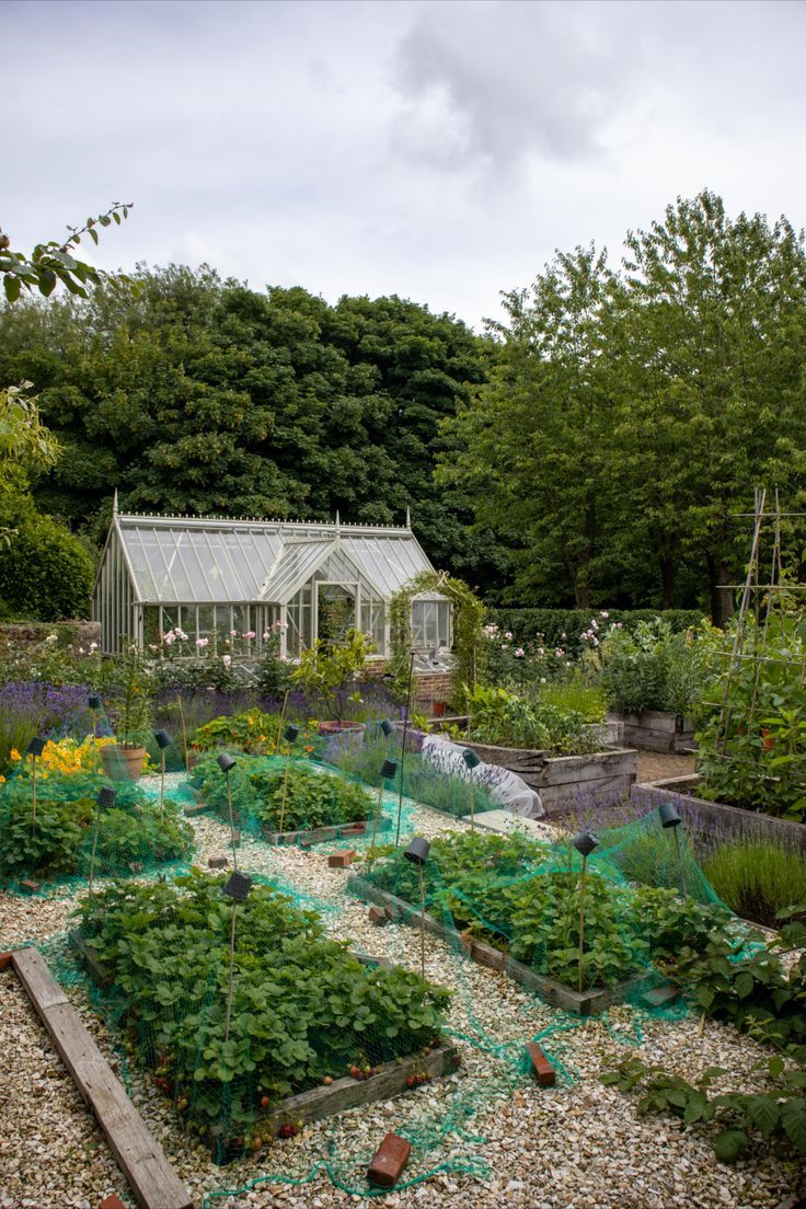 Greenhouse Frame, Roof Vents, Roof Window, Ventilation System, National Trust, Garden Spaces, Glass House, Kitchen Garden, Modern Design