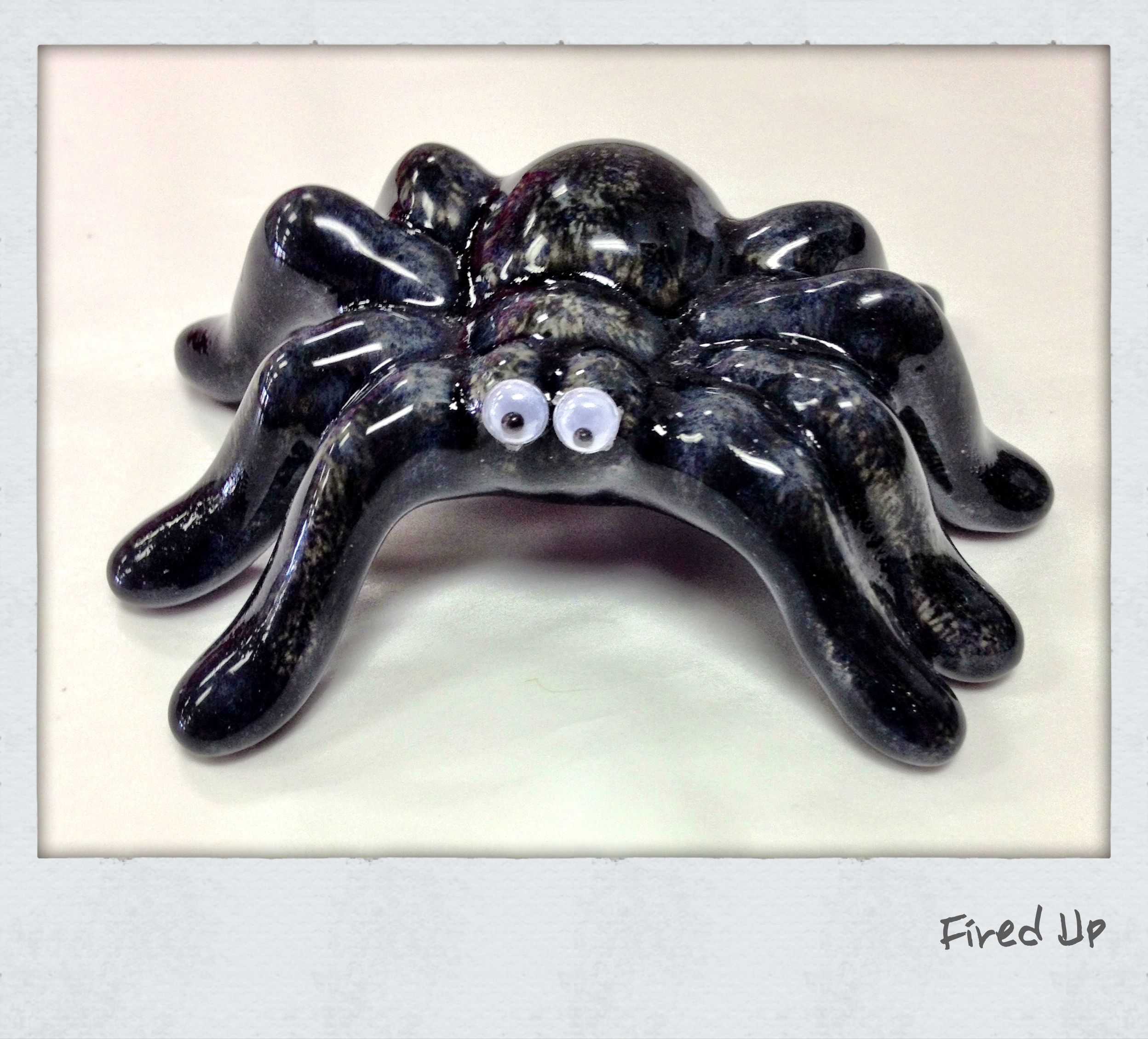 oogly googly eyed spider