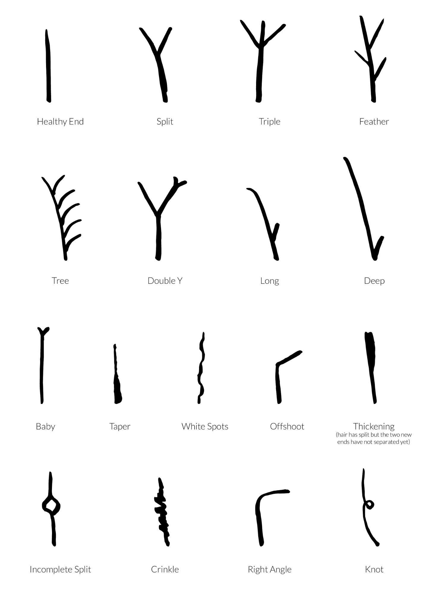 Hoe vaak moet je je haar knippen - zelfs als je het lang wilt laten groeien? Cut Split Ends, Split Ends Hair, Hair Treatment Damaged, Hair Loss Treatment, Damaged Hair, Salon Hair Treatments, Aquis Hair, Split End Treatment, Ways To Grow Hair