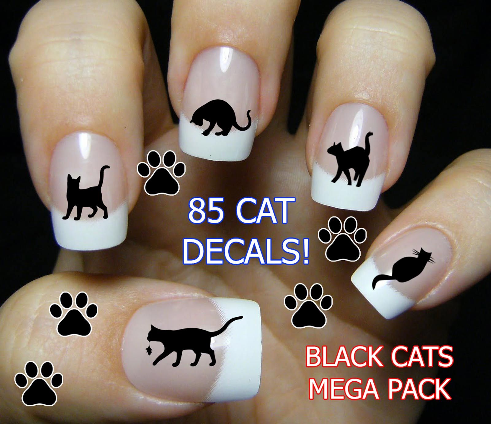 Pin On Cat Care