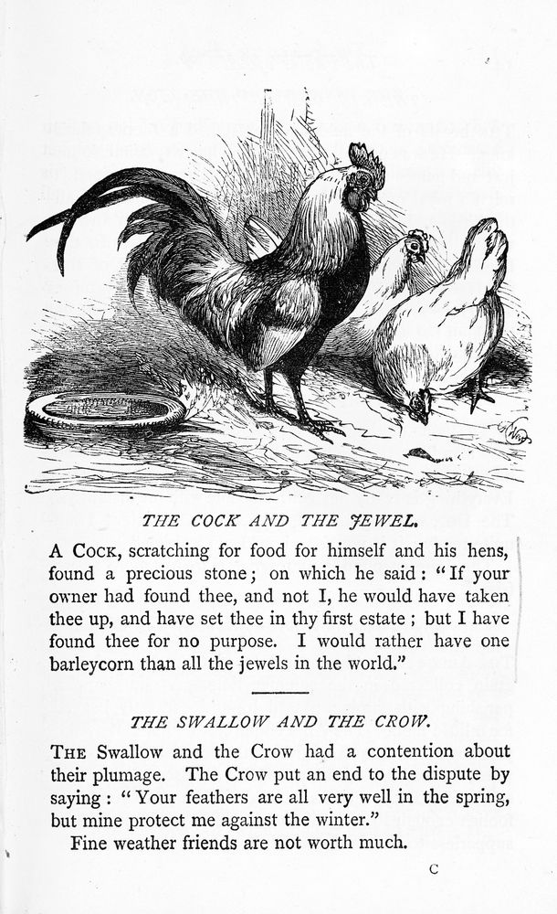 1877 300 aesop s