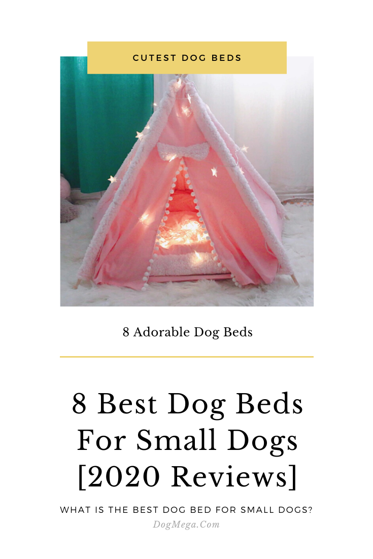 Our editors independently research, test, and recommend the best products; you can learn more about our review process here. #cutedogbeds #cutepuppybeds #prettydogbeds #cutesmalldogbeds #cutedogbedsforsmalldogs #cutegirldogbeds #cutedogpillows #adorabledogbeds #cuteboydogbeds #cutepinkdogbeds #cutedogbeds forsmallgirldogs #cutecheapdogbeds #cutefemaledogbeds #cutedogbedsforchihuahuas #cutepuppyblankets Pretty Dog Beds, Cute Dog Beds, Cute Small Dogs, Dog Beds For Small Dogs, Cute Dogs, Dog Breeds Little, Big Dog Breeds, Unique Dog Breeds, Dog Breeds Chart