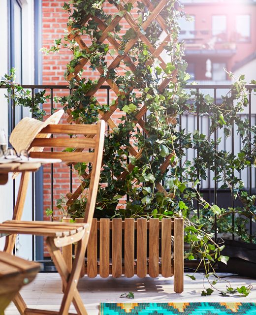 Espalier af træ med klatreplanter, gir privatliv pÃ¥ en altan ... Altan træ