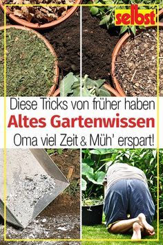 Gärtnertipps #landscapingtips