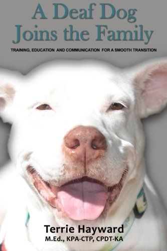 A Deaf Dog Joins The Family Training Education And
