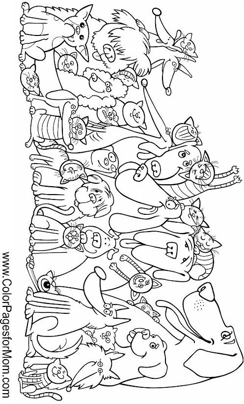 Download animal coloring page 93 | Coloring pages, Animal coloring pages, Adult coloring pages