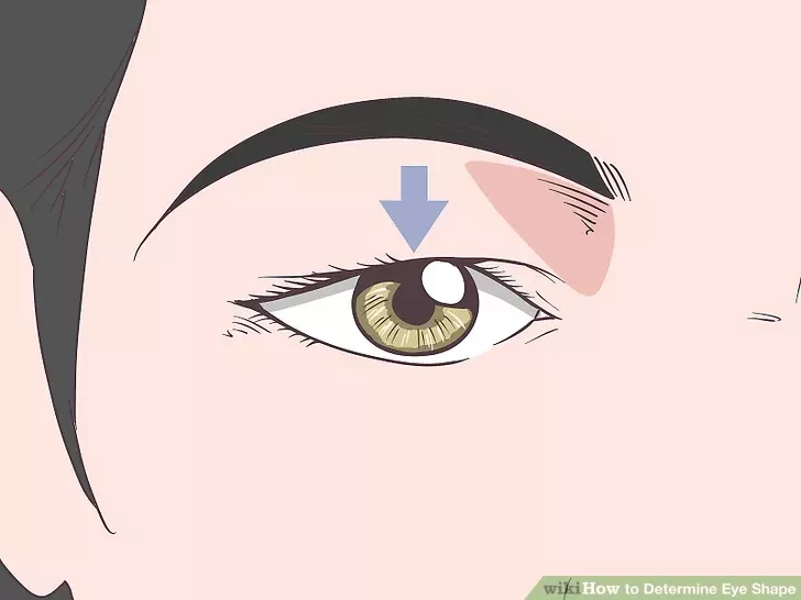 How to Determine Eye Shape (with Pictures