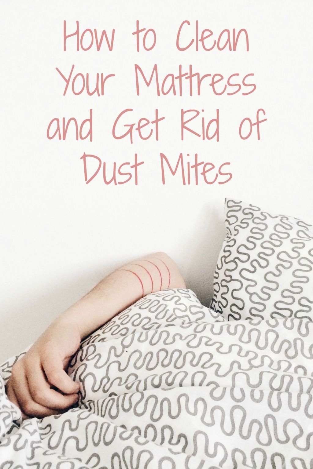 How To Clean Your Mattress And Get Rid Of Dust Mites Home 3 How To Clean Your Mattress And Get Rid Of Dust Mites Cleaning Diy