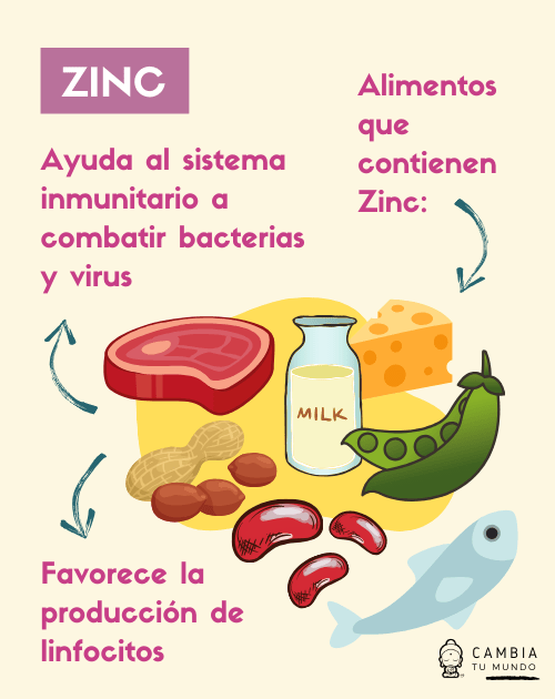 acelerador del metabolismo en farmacias medicamento