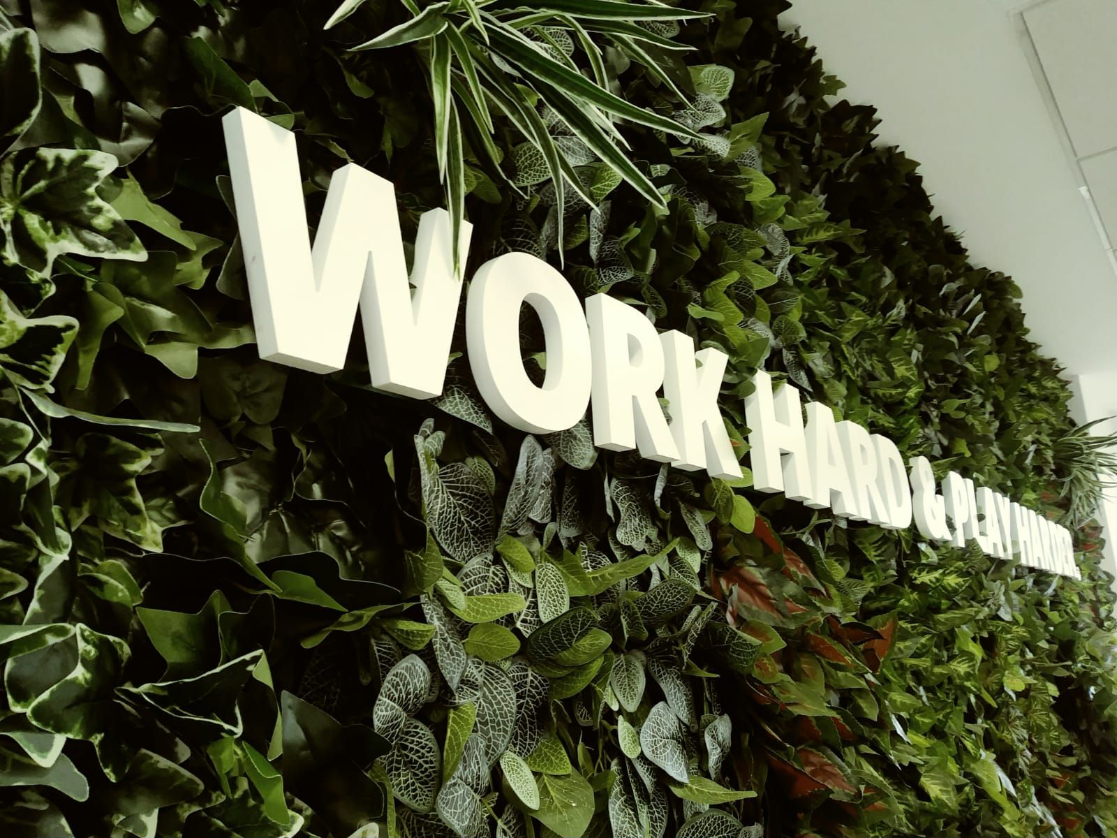Texto Sobre Jardin Vertical en Pared. Material PVC Lacado Blanco. Relieve 19mm