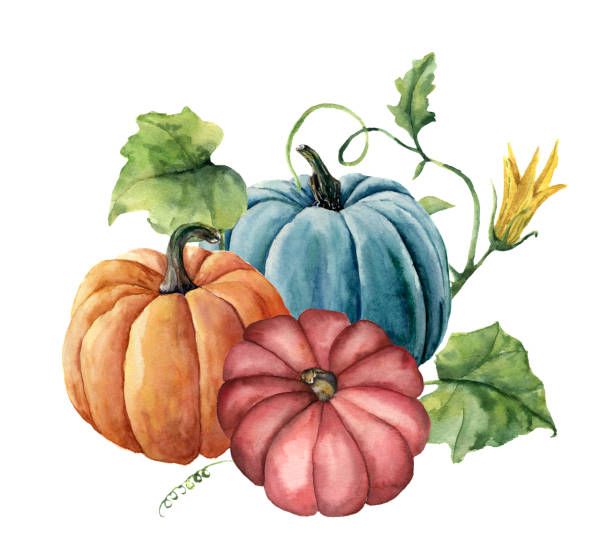 Watercolor autumn pumpkins. Hand painted bright pumpkins with leaves...