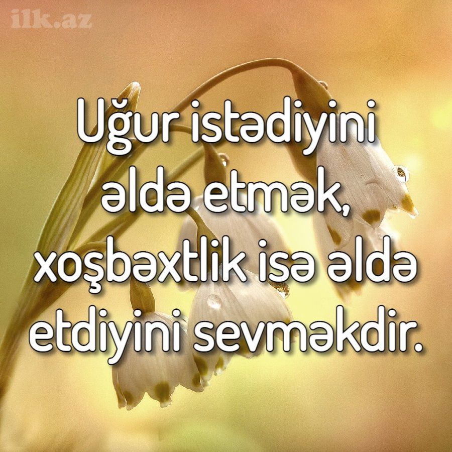 Pin On Dəyərli Sozlər