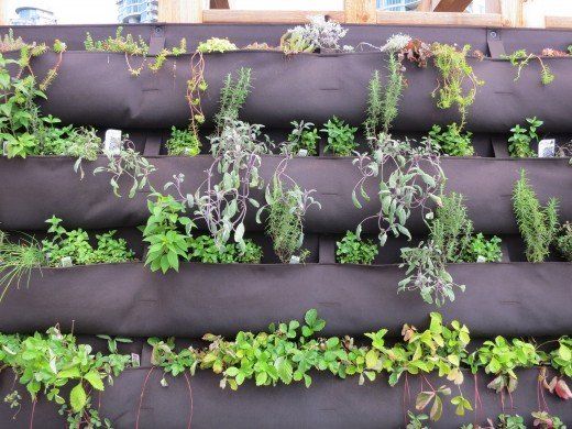 How to Build a Vertical Vegetable Garden – Vertical herb garden