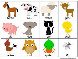 the very busy spider sequence cards activities books