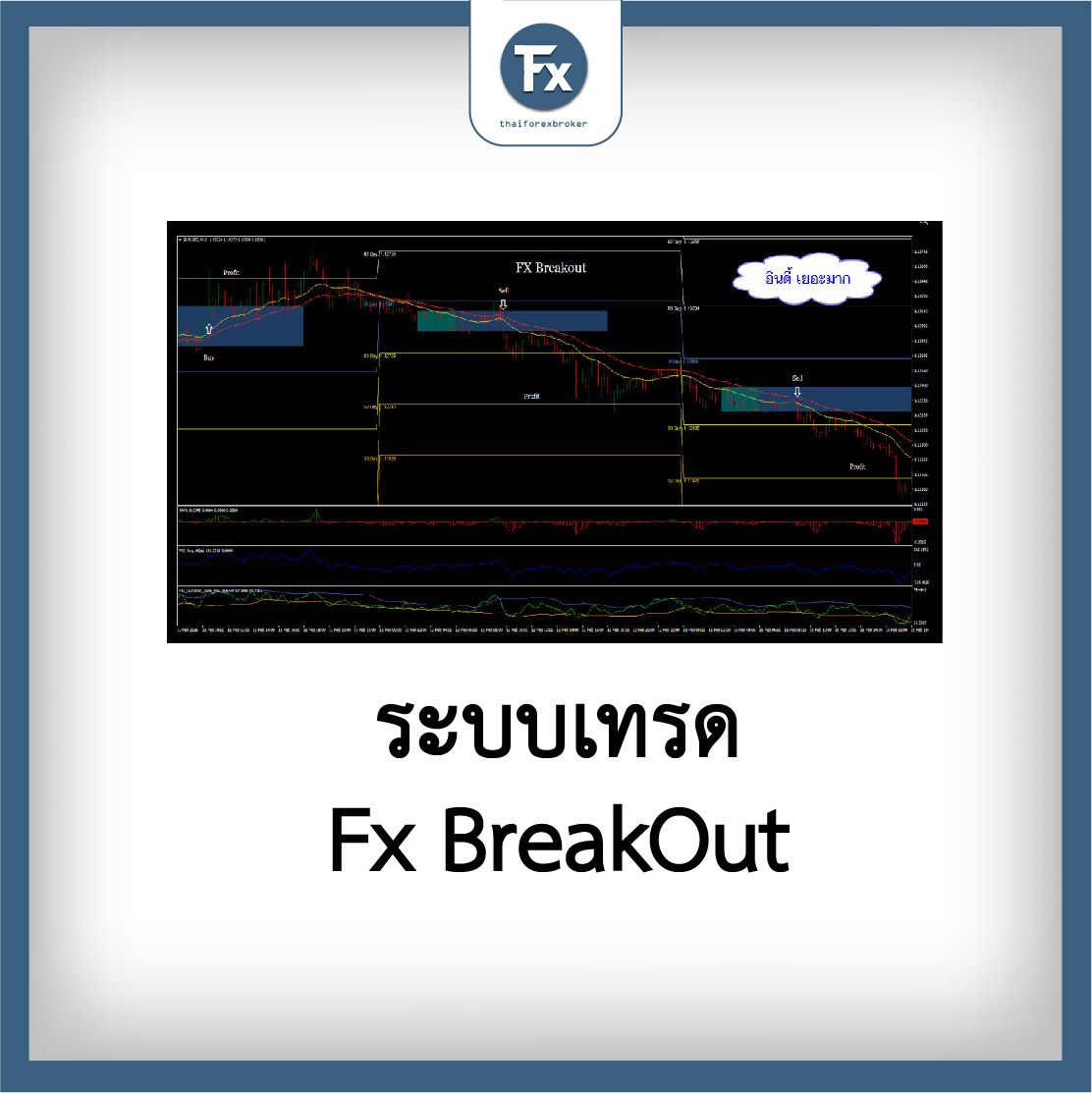 แจกระบบ forex