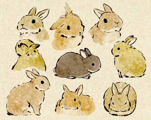 Pin By Trish W On The Art Of Journaling Bunny Sketches Bunny Art Drawings Pin By Trish W On The Art Of Journaling Bunny Sketches Bunny Art Drawings
