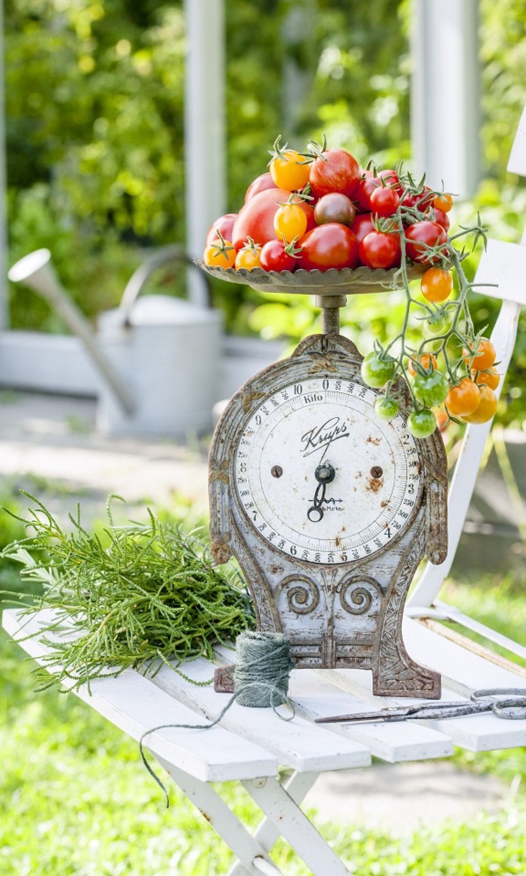 Tomaatin lannoitus, hoito ja parhaat lajikkeet | Meillä kotona Greenhouse, Garden Ideas, Landscaping Ideas, Backyard Ideas