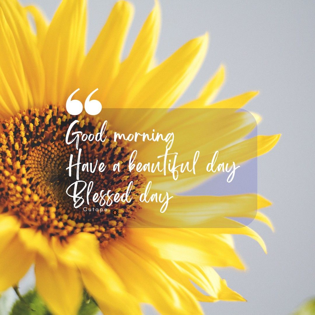 goodmorning In 2023 Good Morning Beautiful Flowers Good Morning vintage-vhs-footage-of-a-beautiful-day-on-craiyon