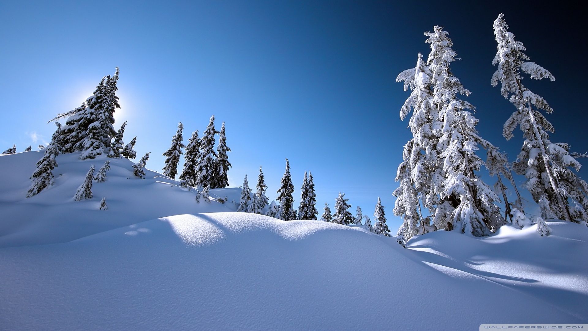 Download Beautiful Winter Scenery Hd Wallpaper Winter Scenery Download Beautiful Winter Scenery Hd Wallpaper Winter Scenery