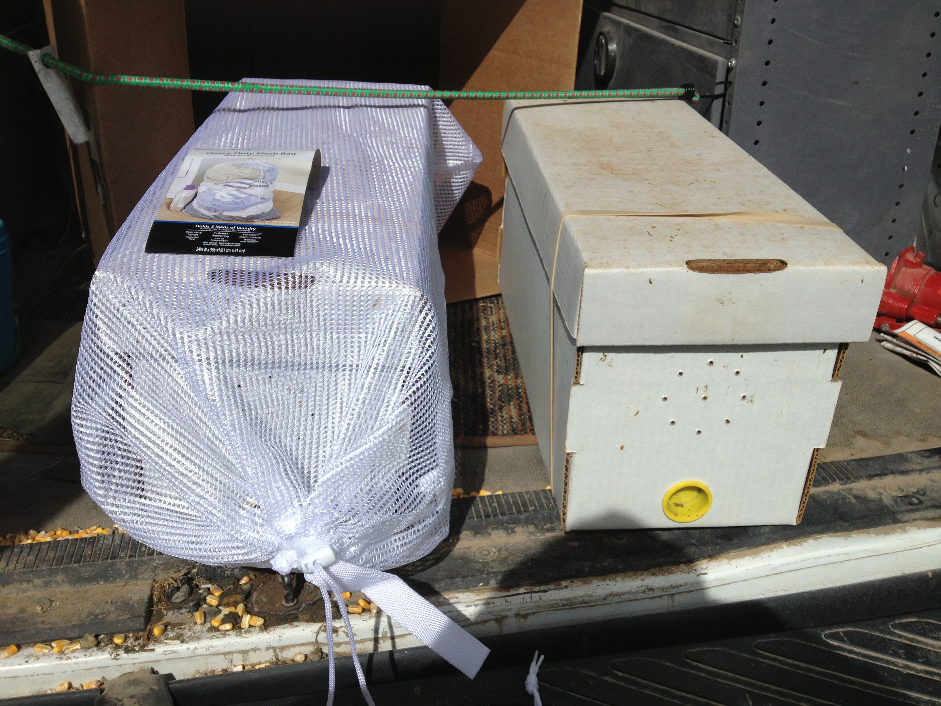 Installing A 5 Frame Nuc And Or 3 Package Bees