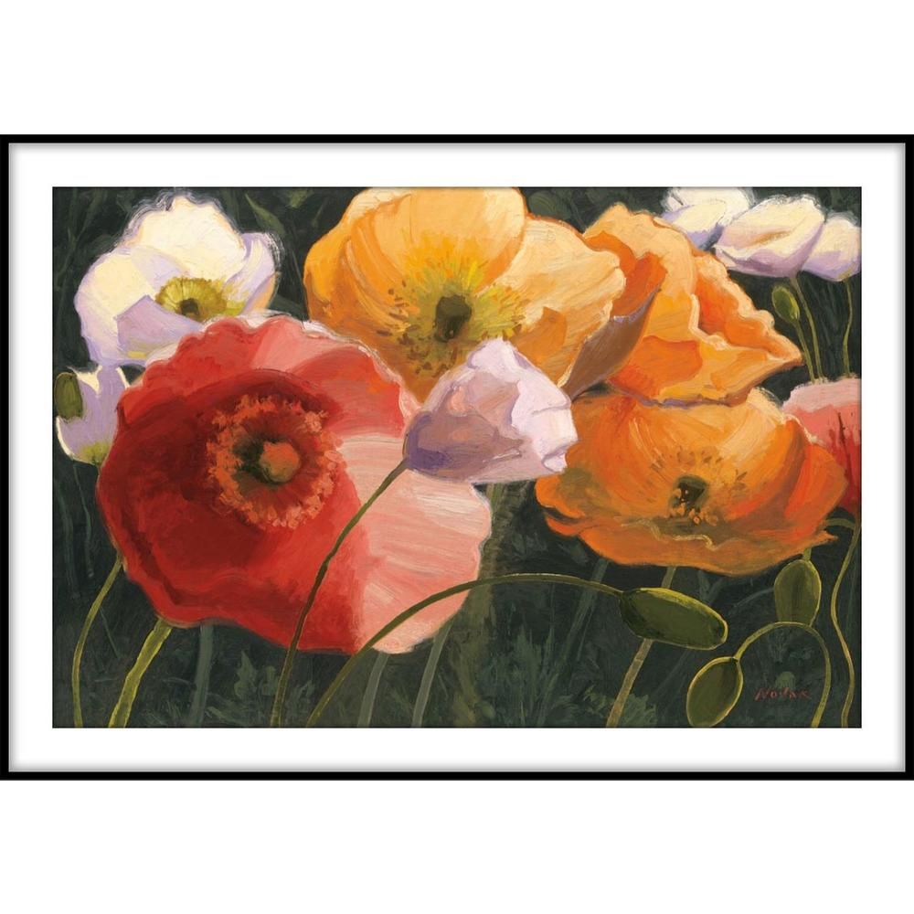 Ptm Images 9 75 In X 11 75 In Poppy Illumination Framed Wall