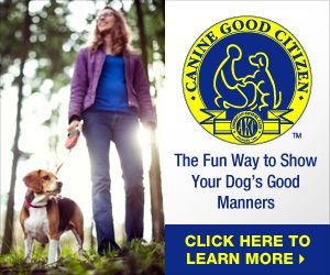 Canine Good Citizen Cgc Sick Dog Therapy Dogs Dog Training