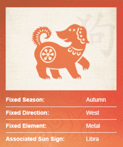 chinese astrology companion