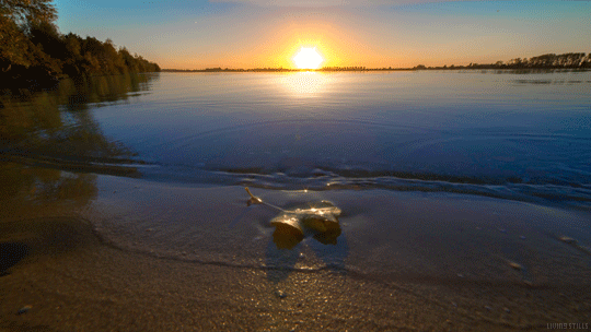 cinemagraph gif water nature beach cinemagraph sunset waves perfect loop lake cinemagraphs leaf videography dusk living… | Relaxing
gif, Nature images, Nature beach
