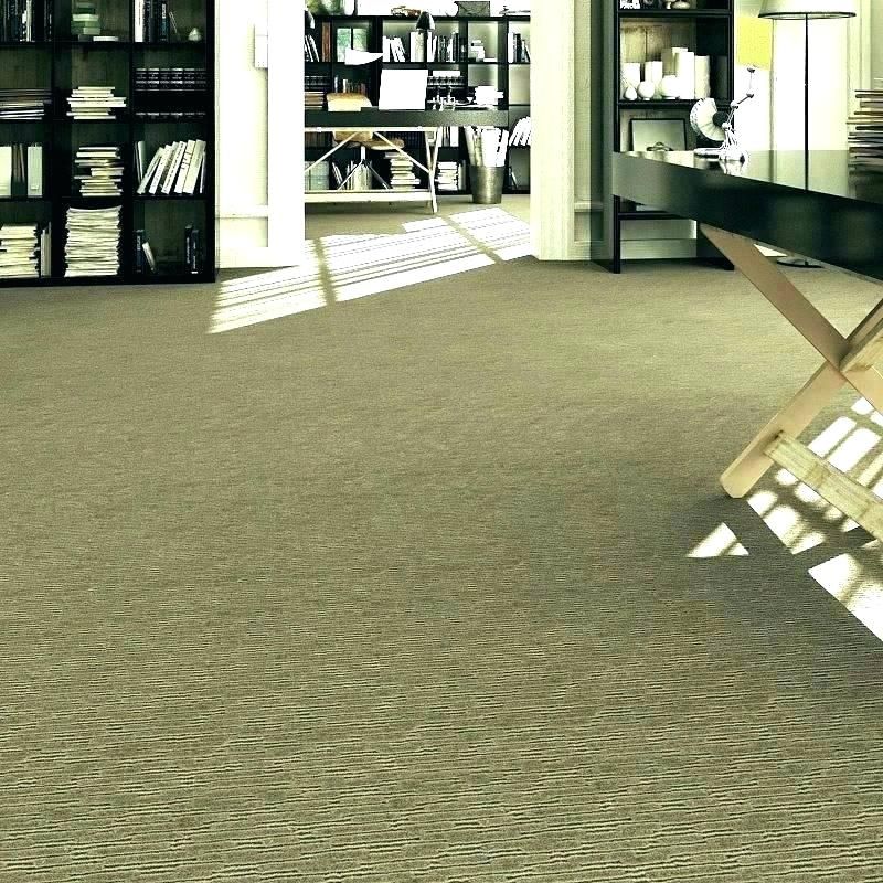 Nice rug doctor rentals near me Photographs, ideas rug