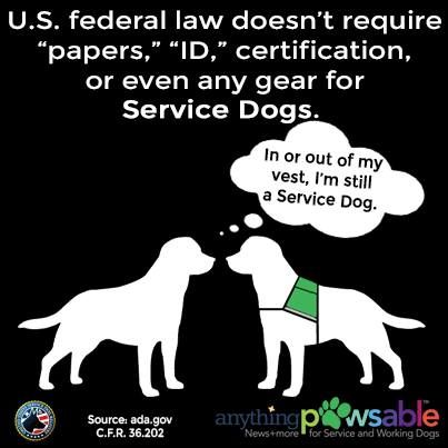 Pin By Terri Cunningham On Service Dogs Psychiatric Service Dog