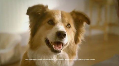 Pet Food Brand Makes Tv Commercial Only Dogs Can Hear Dogs Pets