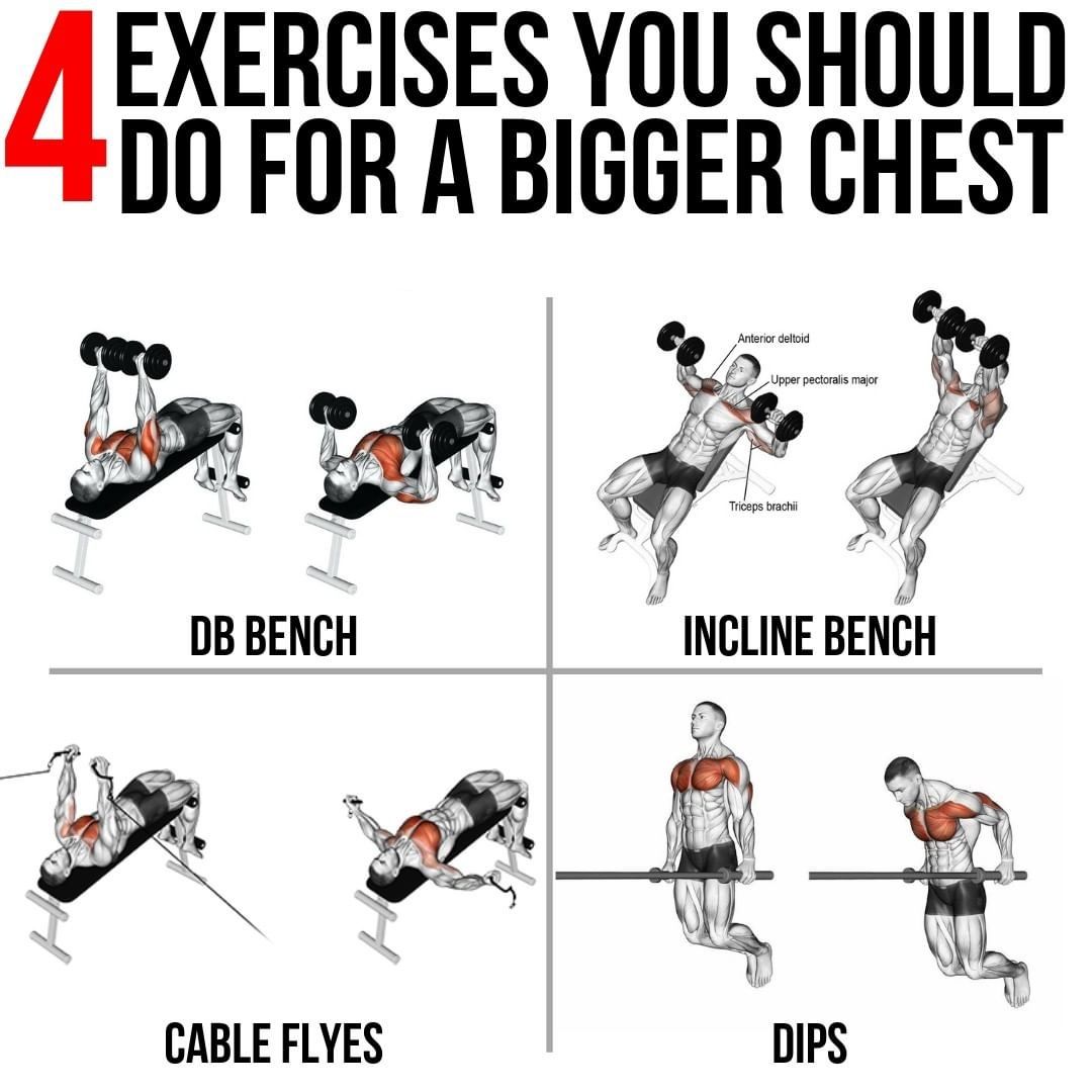 4 Exercises For Bigger Chest | Chest workout for mass, Chest workout ...